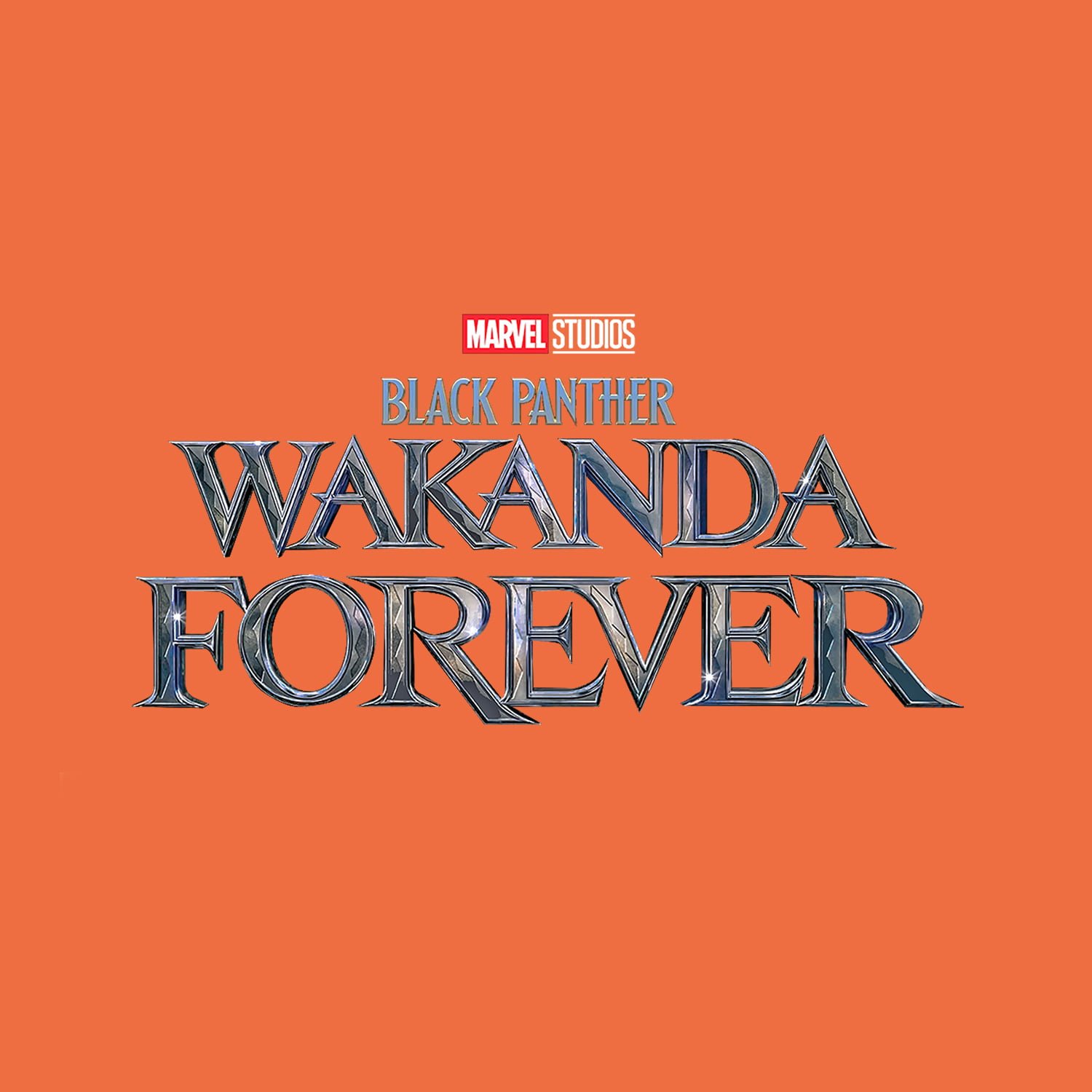 Black Panther: Wakanda Forever' and legacy - The Tufts Daily